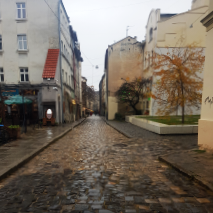 half day lviv tour by in lviv tours